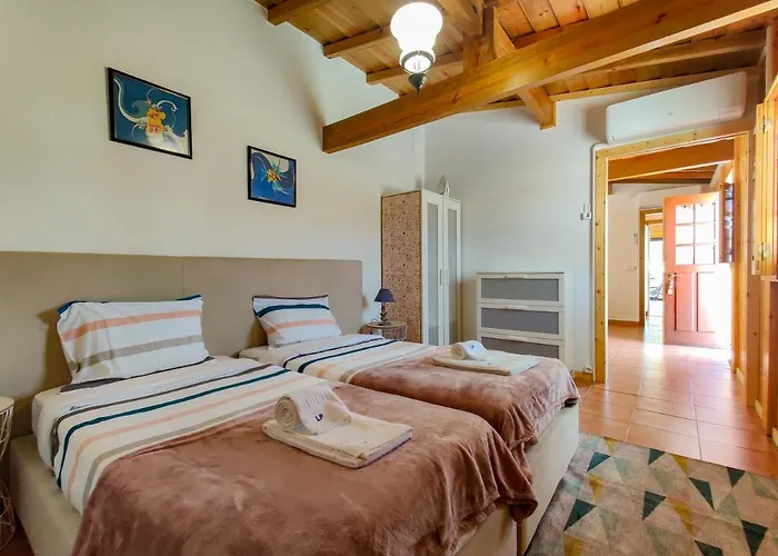 Dom wakacyjny Casa Largo Do Porto - With Swimming Pool Viana do Castelo