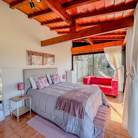 Casa Largo Do Porto - With Swimming Pool *