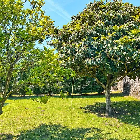 Σπίτι διακοπών Casa Largo Do Porto - With Swimming Pool *